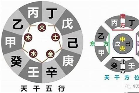 地支怎麼看|12地支